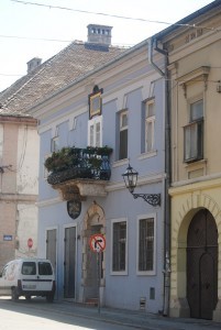 petrovaradin barisic (10)