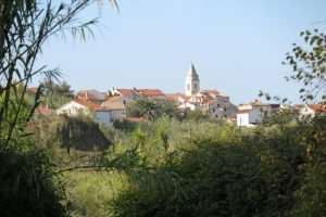 Otok Susak