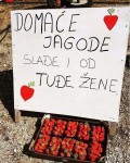 IMG-20180518-WA0001