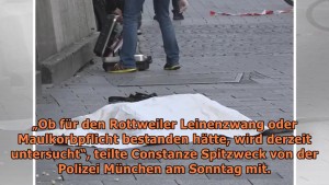 Screenshot/Video