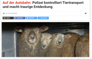 Njemački mediji pišu o tužnom otkriću policajaca/Foto:Preslik