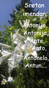 DANAS JE BLAGDAN SVETOG ANTE: Svim Antama, Antunima, Antonijama, Anitama, …čestitamo imendan Sv. Ante