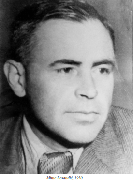 Neda Rosandic Saric