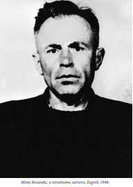 Neda Rosandic Saric