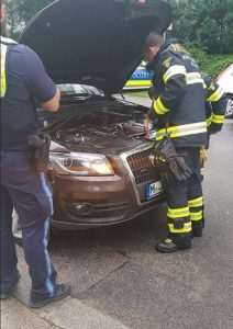 NEZAPAMĆEN SLUČAJ: Muškarac iz BiH ispod haube automobila u Njemačku dovezao poskoka NEZAPAMĆEN SLUČAJ: Muškarac iz BiH ispod haube automobila u Njemačku dovezao poskoka