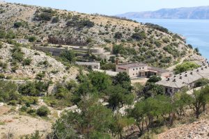 goli otok