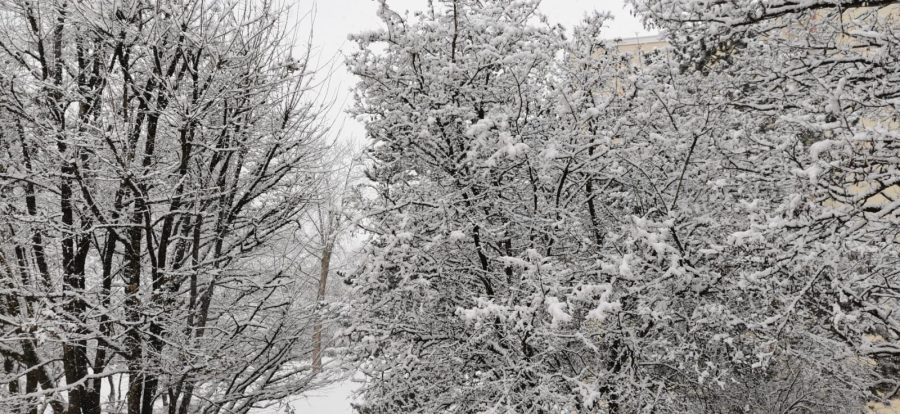 (FOTO) Snijeg zabijelio njemački grad u kojem živi oko 3.000 Hrvata
