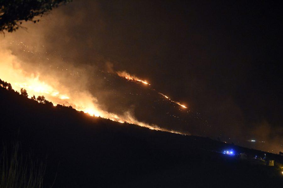 PONOVNO SE RASPLAMSAVA POŽAR U LOKVI ROGOZNICI: Na terenu je oko 100 vatrogasaca PONOVNO SE RASPLAMSAVA POŽAR U LOKVI ROGOZNICI: Na terenu je oko 100 vatrogasaca