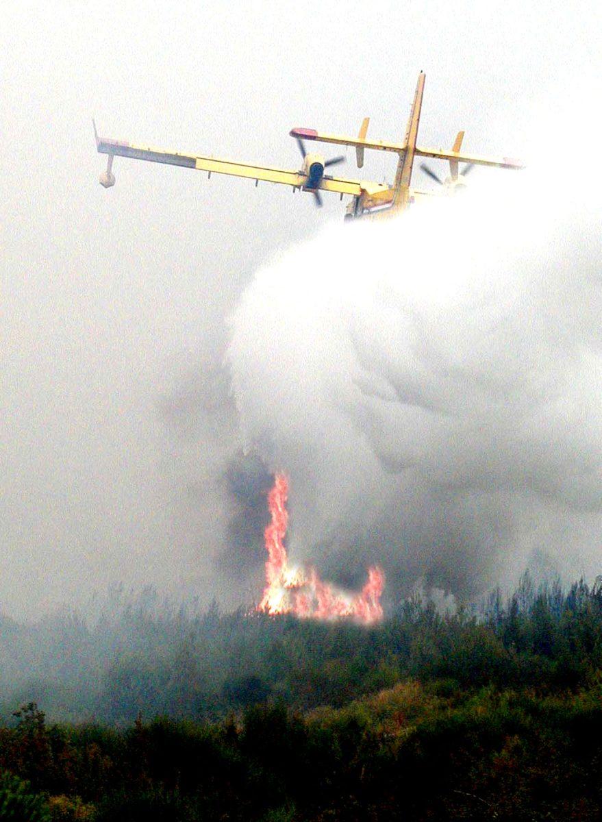 IZGORJELO VIŠE OD 45 HEKTARA ŠUME I RASLINJA: Veliki požar kod Novigrada stavljen pod nadzor, ali nije u potpunosti lokaliziran IZGORJELO VIŠE OD 45 HEKTARA ŠUME I RASLINJA: Veliki požar kod Novigrada stavljen pod nadzor, ali nije u potpunosti lokaliziran