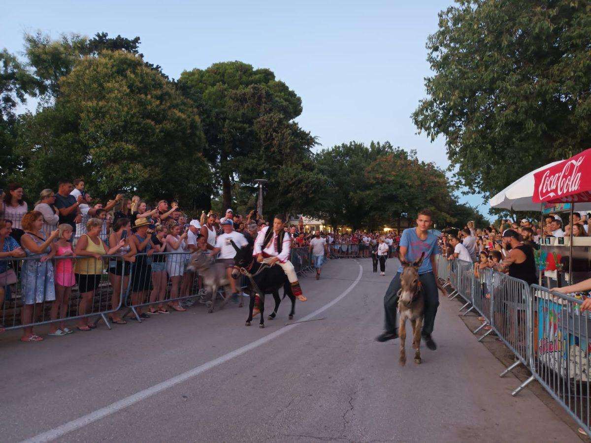 (FOTO i VIDEO) TRKA MAGARACA U POSEDARJU: Ni tovar neće uvik poslušati, ali tvrdoglav ostaje! (FOTO i VIDEO) TRKA MAGARACA U POSEDARJU: Ni tovar neće uvik poslušati, ali tvrdoglav ostaje!