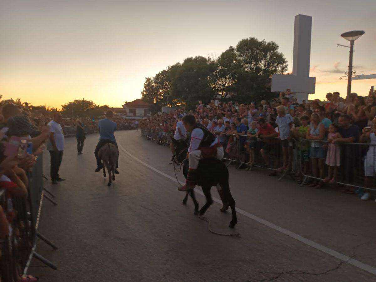 (FOTO i VIDEO) TRKA MAGARACA U POSEDARJU: Ni tovar neće uvik poslušati, ali tvrdoglav ostaje! (FOTO i VIDEO) TRKA MAGARACA U POSEDARJU: Ni tovar neće uvik poslušati, ali tvrdoglav ostaje!