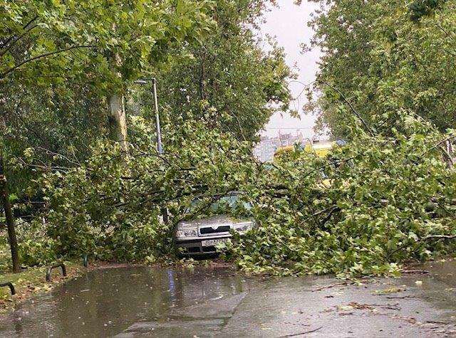 USLIJED PADA STABALA: U zagrebačkom nevremenu poginula dva muškarca, a više je ozlijeđenih osoba
