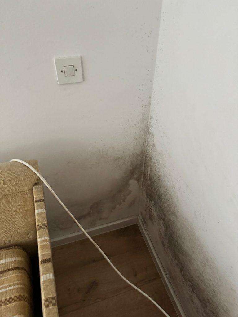PLIJESAN U STANU: Kad osiguranje plaća nastalu štetu - a kad ne Plijesan / Foto: Fenix (SIM)