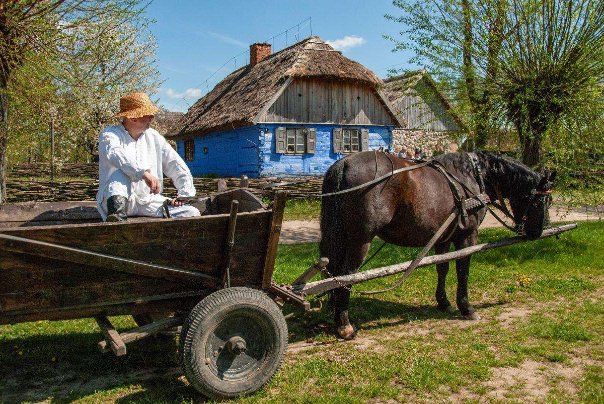 POLEN-REISE: Kosten Sie Polen mit ORLEN Wisła Płock! Polen/Foto: Fenix (PROMO)