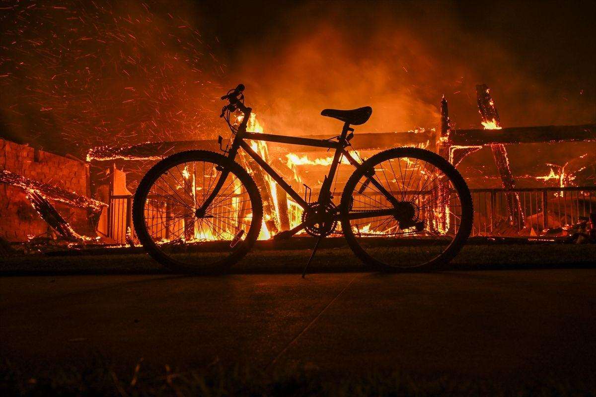 Požar u Los Angelesu / Foto: Anadolu