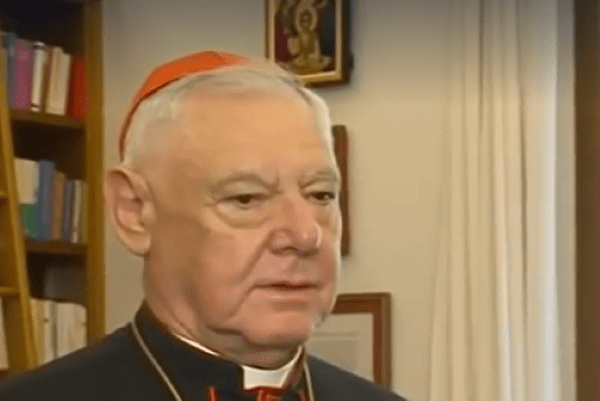 Njemački kardinal rodom iz Mainza Gerhard Ludwig Müller / Foto: Preslik FM