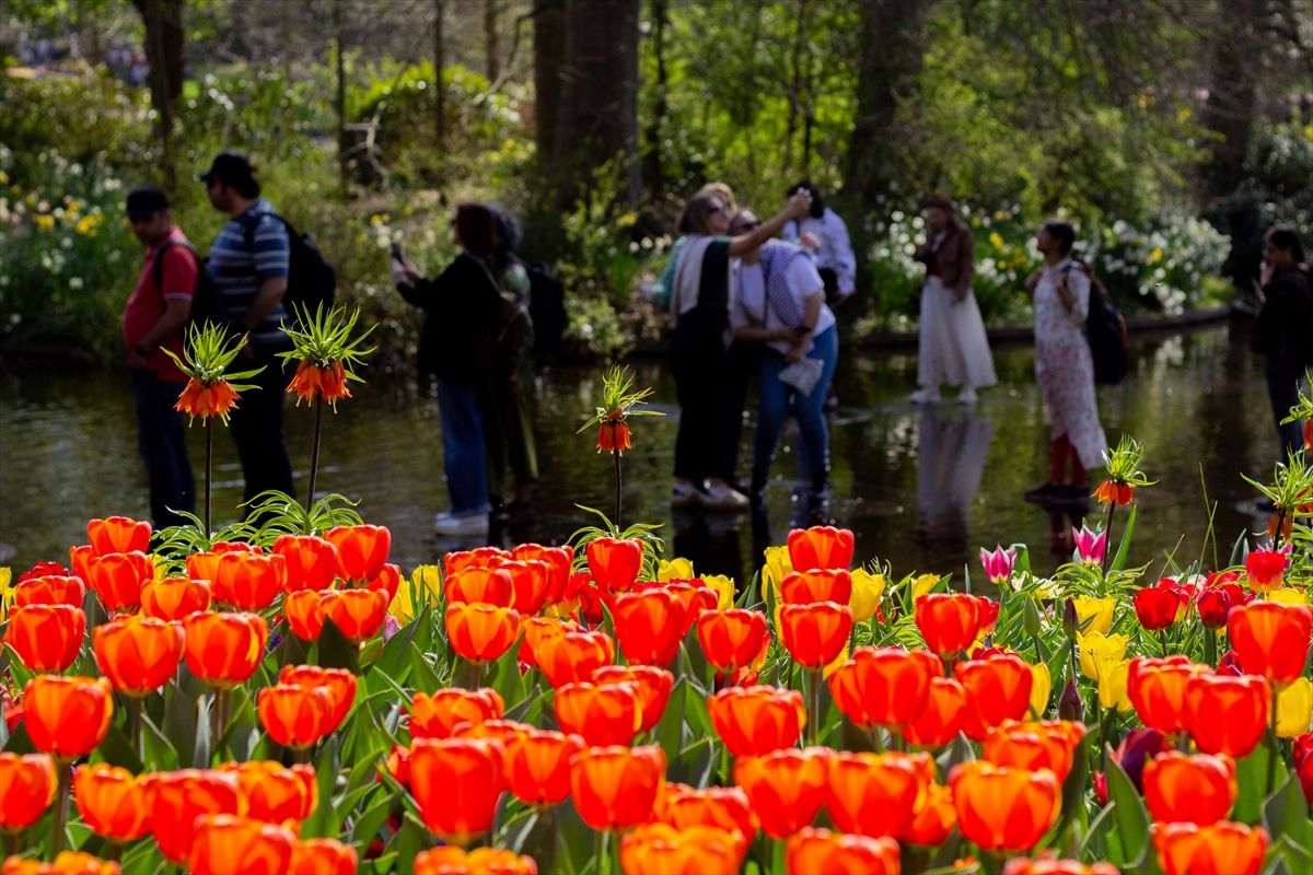 „NAJLJEPŠI VRT TULIPANA NA SVIJETU“: Nizozemski Keukenhof po 76. put otvorio vrata za posjetitelje  