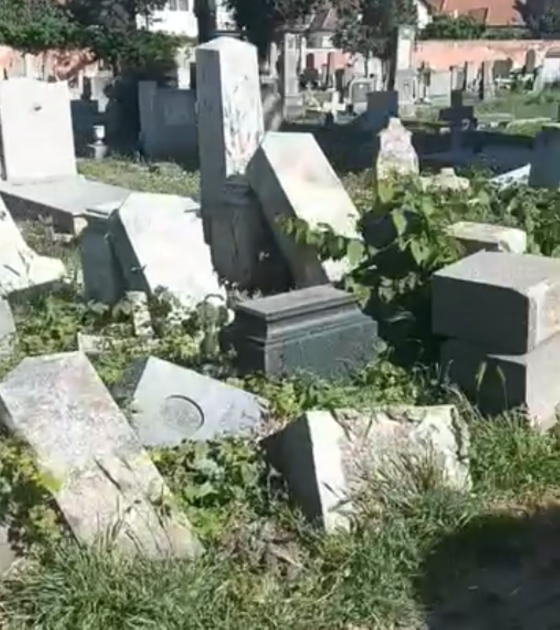 „FRAGMENT O RELIKTU KRAHA“: Katastrofalno stanje katoličkog groblja u Novom Sadu „FRAGMENT O RELIKTU KRAHA“: Katastrofalno stanje katoličkog groblja u Novom Sadu