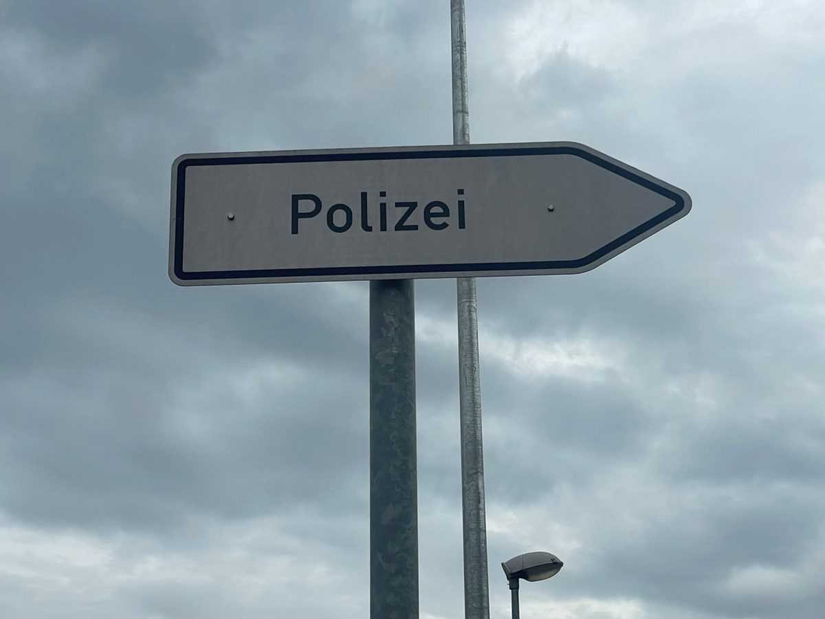 Policija (ILUSTRACIJA) / Foto: Fenix (SC)