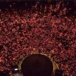 Fotografije koje ostavljaju bez daha - 28. međunarodni molitveni susret mladih "Mladifest" u Međugorju
