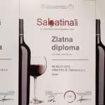 Vina Fiolić iz Zadra i ove godine dominirala na Sabatini 2017. i osvojila ukupno 7 zlatnih medalja