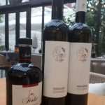 Vina Fiolić iz Zadra i ove godine dominirala na Sabatini 2017. i osvojila ukupno 7 zlatnih medalja