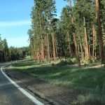 (FOTO i VIDEO) HRVAT OTKRIVA KAKO IZGLEDA ARIZONA U VRIJEME KORONE: Ovu ljepotu nikakav virus ne može ubiti (FOTO i VIDEO) HRVAT OTKRIVA KAKO IZGLEDA ARIZONA U VRIJEME KORONE: Ovu ljepotu nikakav virus ne može ubiti