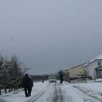 (FOTO) Stanovnici Mainza i okolice su uživali u snježnim radostima (FOTO) Stanovnici Mainza i okolice su uživali u snježnim radostima