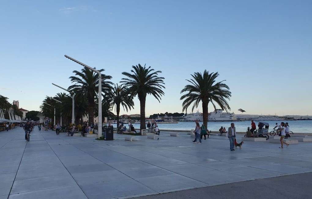 Split _ Fenix