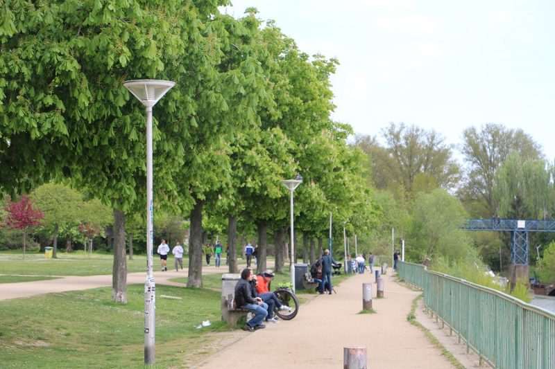 mainz kastel jpg