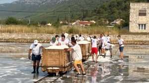(FOTO I VIDEO) SPASILI 60 TONA SOLI: Rukometaši RKHM Dubrovnik odazvali se pozivu iz Stona za berbu soli (FOTO I VIDEO) SPASILI 60 TONA SOLI: Rukometaši RKHM Dubrovnik odazvali se pozivu iz Stona za berbu soli