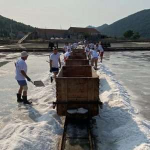 (FOTO I VIDEO) SPASILI 60 TONA SOLI: Rukometaši RKHM Dubrovnik odazvali se pozivu iz Stona za berbu soli (FOTO I VIDEO) SPASILI 60 TONA SOLI: Rukometaši RKHM Dubrovnik odazvali se pozivu iz Stona za berbu soli