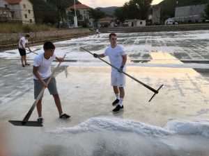 (FOTO I VIDEO) SPASILI 60 TONA SOLI: Rukometaši RKHM Dubrovnik odazvali se pozivu iz Stona za berbu soli (FOTO I VIDEO) SPASILI 60 TONA SOLI: Rukometaši RKHM Dubrovnik odazvali se pozivu iz Stona za berbu soli
