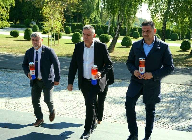 domovinski pokret