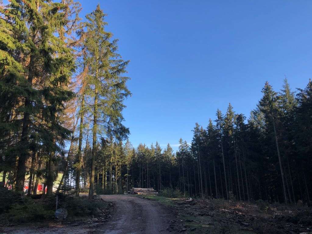 Taunus