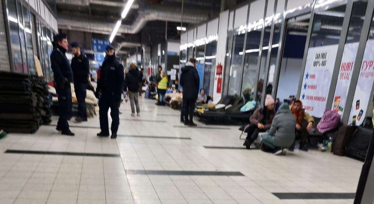 izbjeglice iz ukrajine, niko kalaica