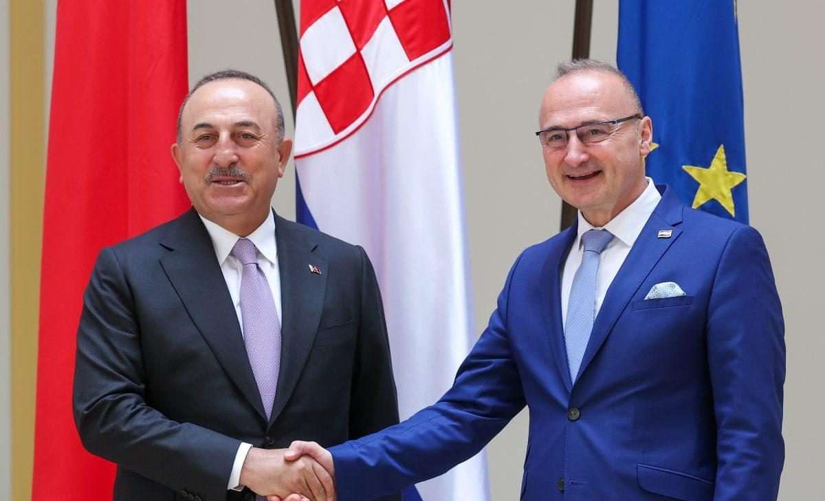 Mevlut Cavusoglu i radman