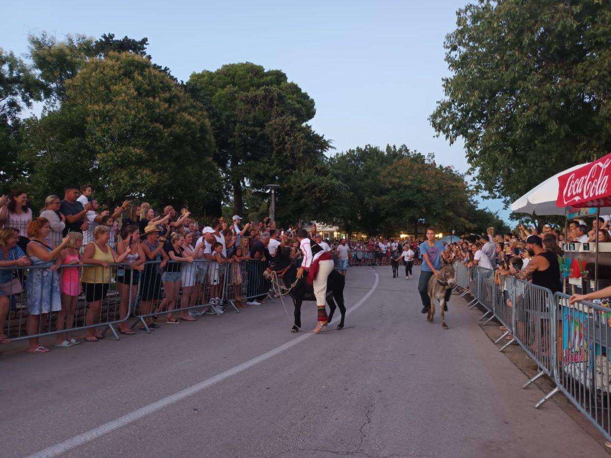 (FOTO i VIDEO) TRKA MAGARACA U POSEDARJU: Ni tovar neće uvik poslušati, ali tvrdoglav ostaje! (FOTO i VIDEO) TRKA MAGARACA U POSEDARJU: Ni tovar neće uvik poslušati, ali tvrdoglav ostaje!