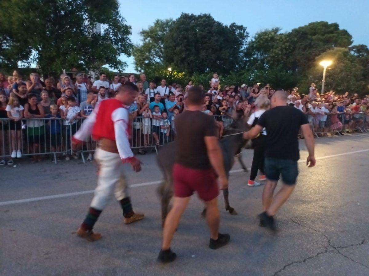(FOTO i VIDEO) TRKA MAGARACA U POSEDARJU: Ni tovar neće uvik poslušati, ali tvrdoglav ostaje! (FOTO i VIDEO) TRKA MAGARACA U POSEDARJU: Ni tovar neće uvik poslušati, ali tvrdoglav ostaje!