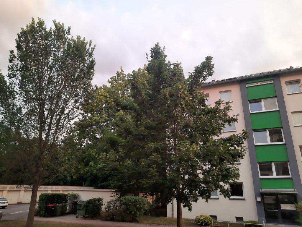 zgrada