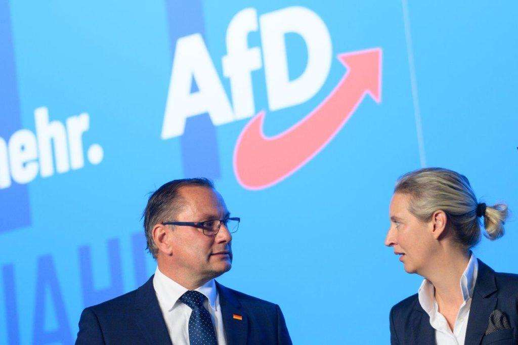predsjednici AfD