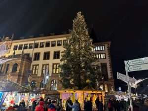 WIESBADEN: Božićni sajam „Zvijezda padalica“ koji odiše bajkovitim ugođajem WIESBADEN: Božićni sajam „Zvijezda padalica“ koji odiše bajkovitim ugođajem