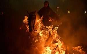 TRADICIJA DUGA ČETIRI STOLJEĆA: Jahači na konjima, u spomen na svetog Antuna, skokom kroz vatru štite od zlih duhova i bolesti