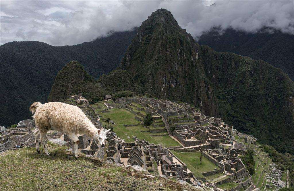 Machu Picchu, sveti grad Inka / Foto: Anadolu