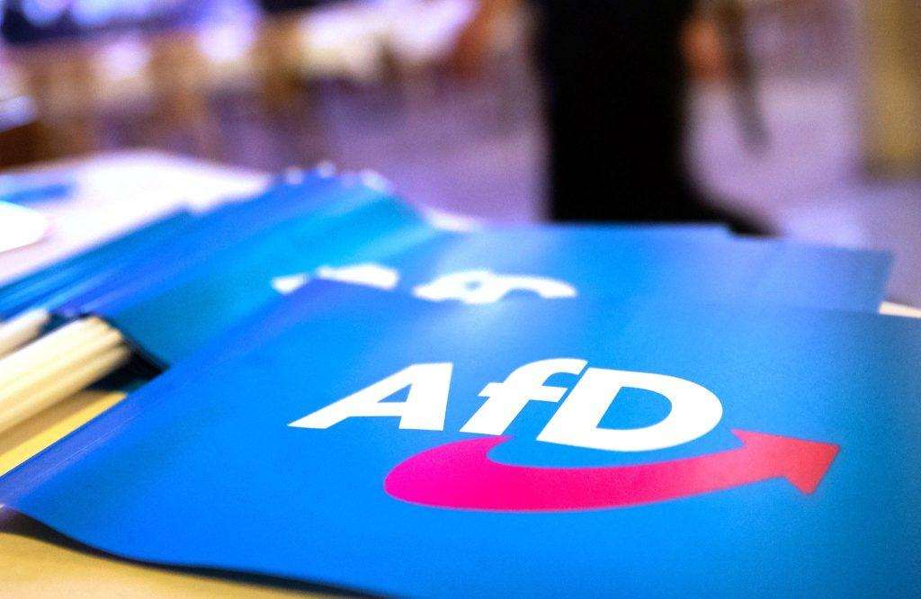 AfD / Foto: Daniel Karmann/dpa