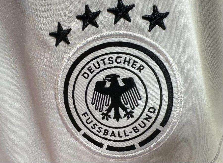 Grb DFB-a / Foto: Fenix (SIM)