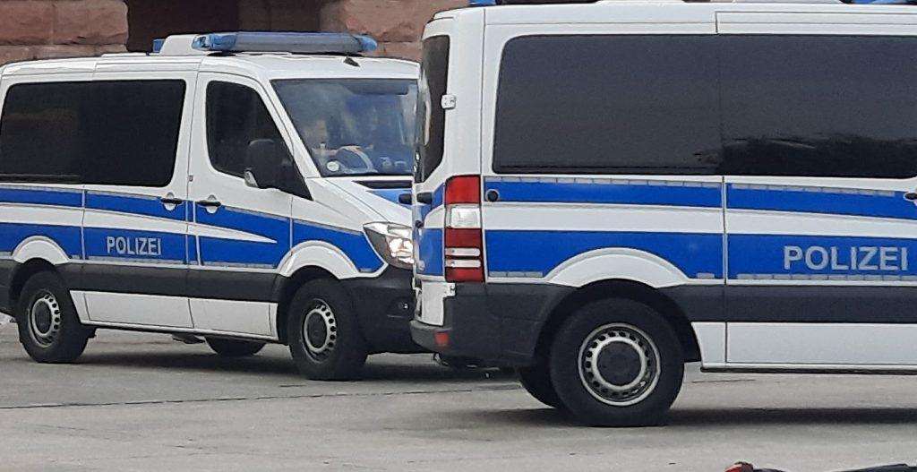 Policija (Ilustracija) / Foto: Fenix (MD)