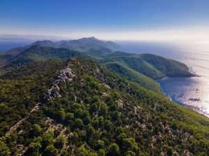 TJEDAN OPUŠTANJE I REKREACIJE: Raste broj prijava za Mljet trail i prvi trail maraton u sklopu outdoor tjedna The Great Refresh u Nacionalnom parku Mljet! Mljet šume / Foto: Dejan Ban, BD-Light media