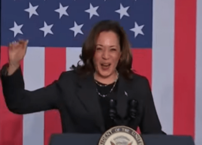 Kamala Harris, potpredsjednica Joea Bidena / Foto: Preslik FM