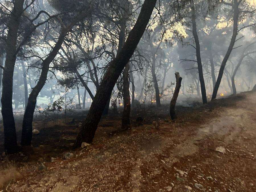 Požar kod Trogira / Foto: Hins